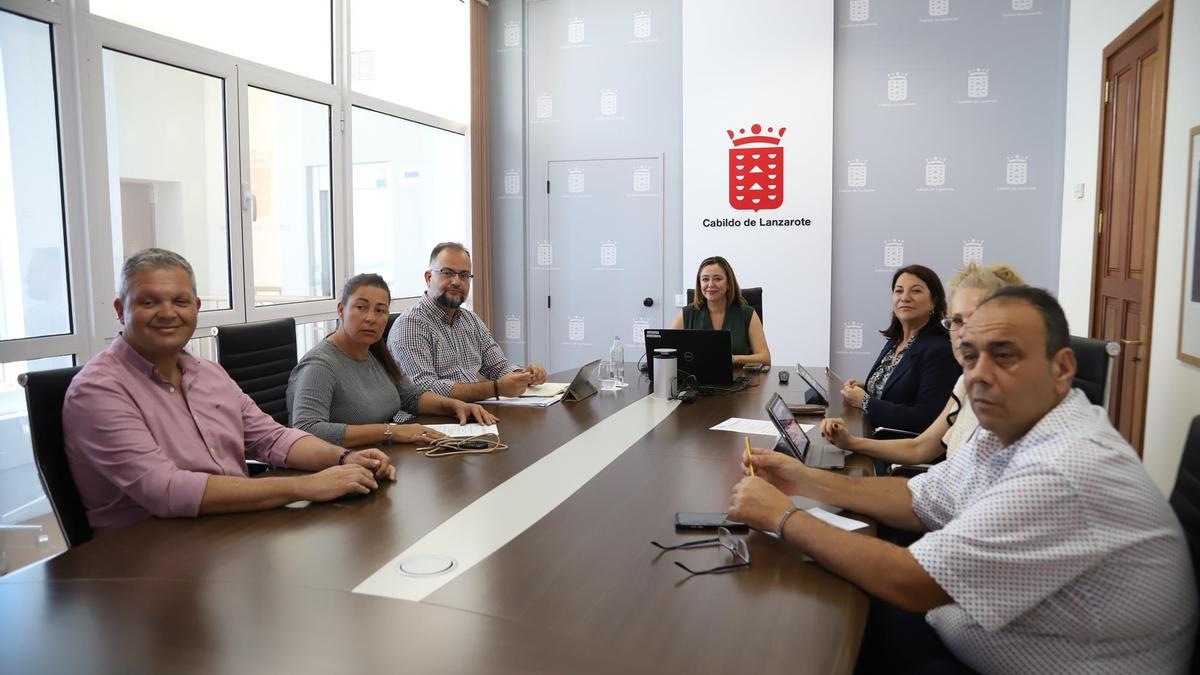 María Dolores Corujo preside una reciente reunión del Consejo de Gobierno del Cabildo de Lanzarote.