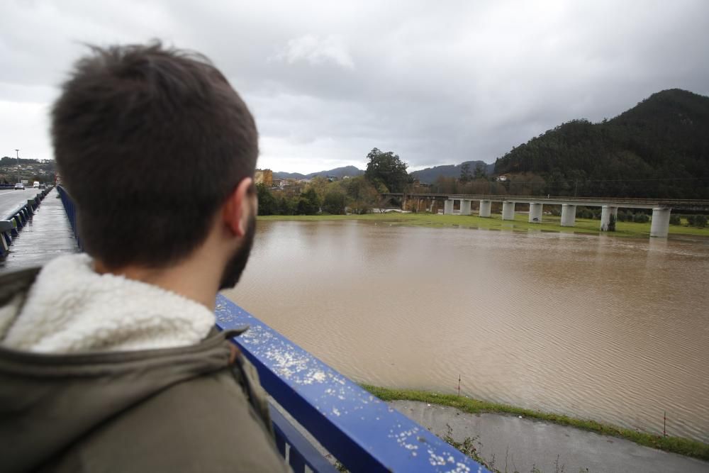 El río Nalón, en Pravia