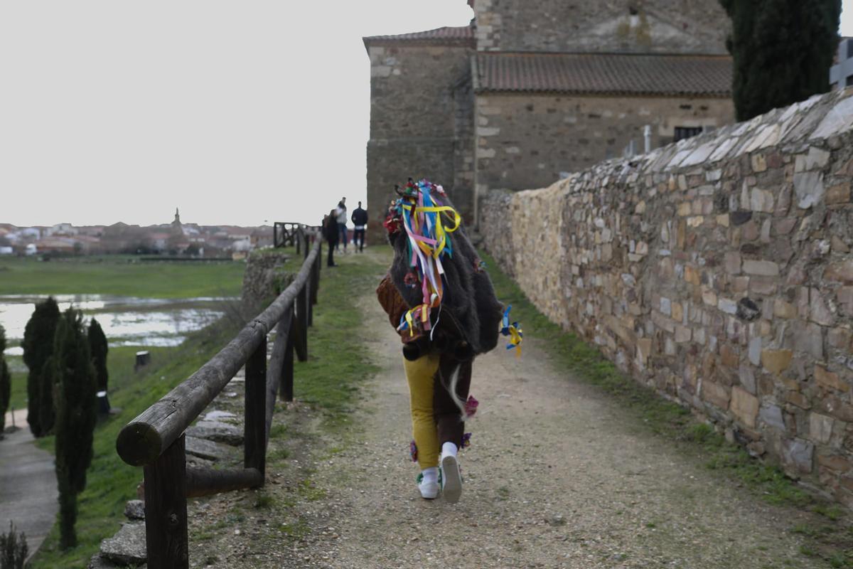 GALERÍA | Montamarta cumple el ritual del Zangarrón: las mejores imágenes