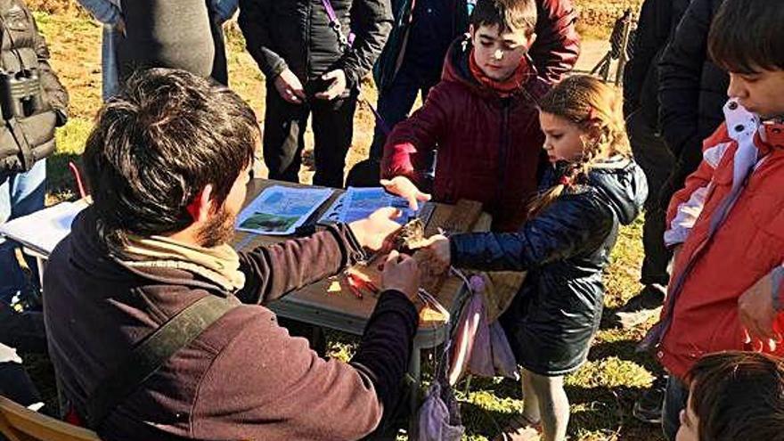 Un centenar de persones participen a la matinal d&#039;anellament d&#039;ocells