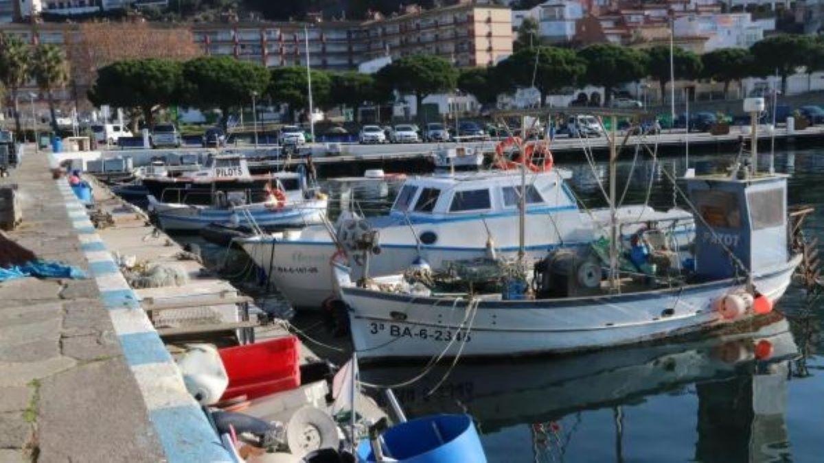 Barques amarrades al port de Roses