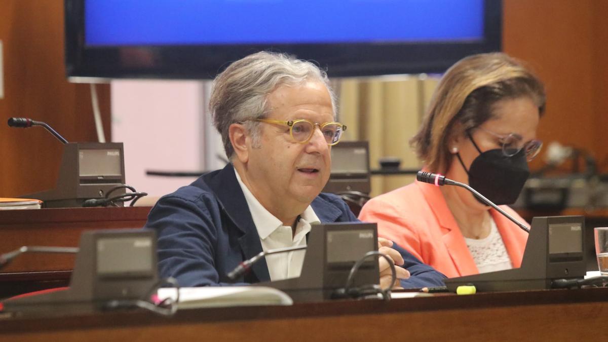 El teniente de alcalde de Hacienda, Salvador Fuentes, durante su intervención en el pleno de hoy.