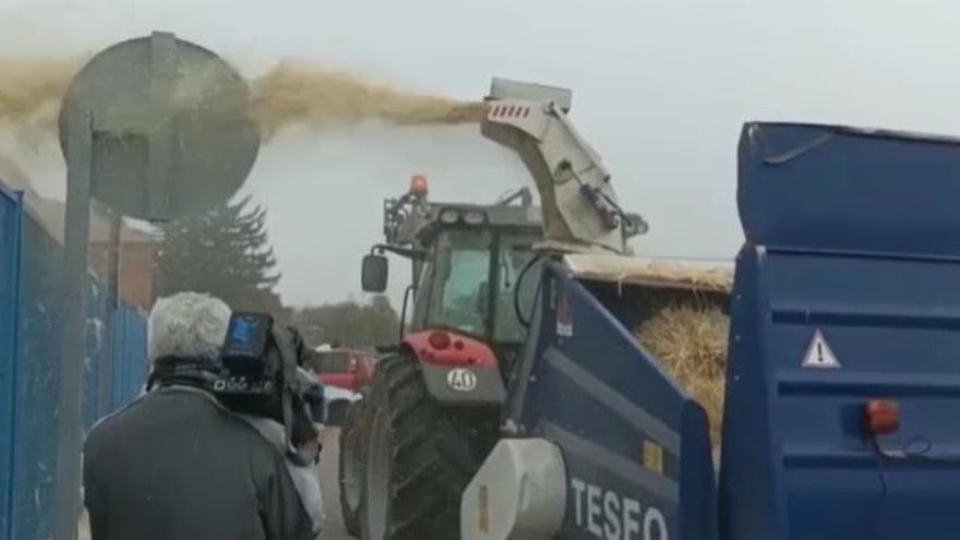 VÍDEO | Ganaderos de Castilla y León se manifiestan en Zamora por los precios de la leche