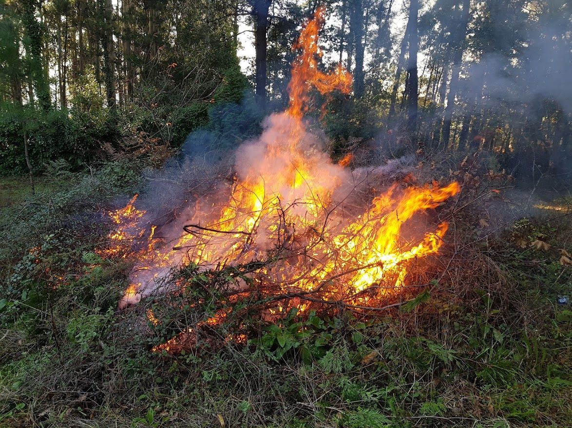 Quema de rastrojos en una finca.