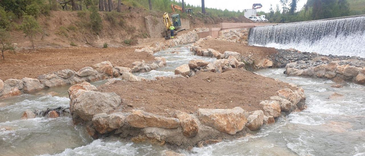 Un nou connector fluvial facilita  el moviment dels peixos a Boadella i les Escaules