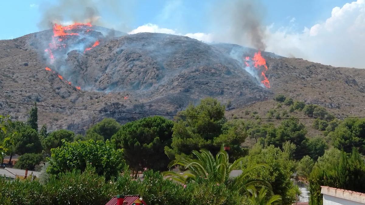 Incendio forestal en Petrer