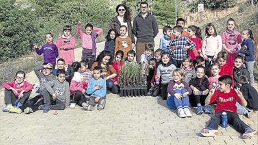 L’ Alcora recupera  el Dia de l’Arbre Al paratge del Calvari