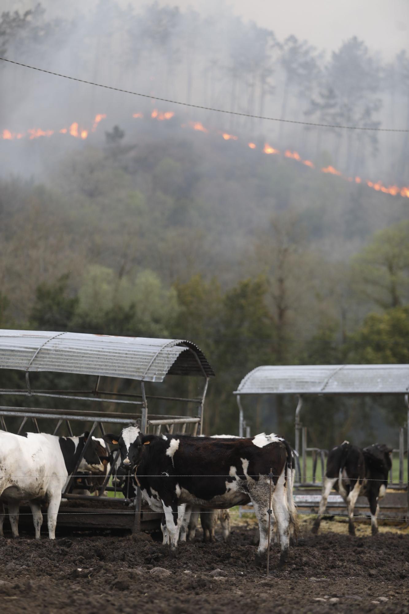 Incendios en la zona de La Venta, Valdés