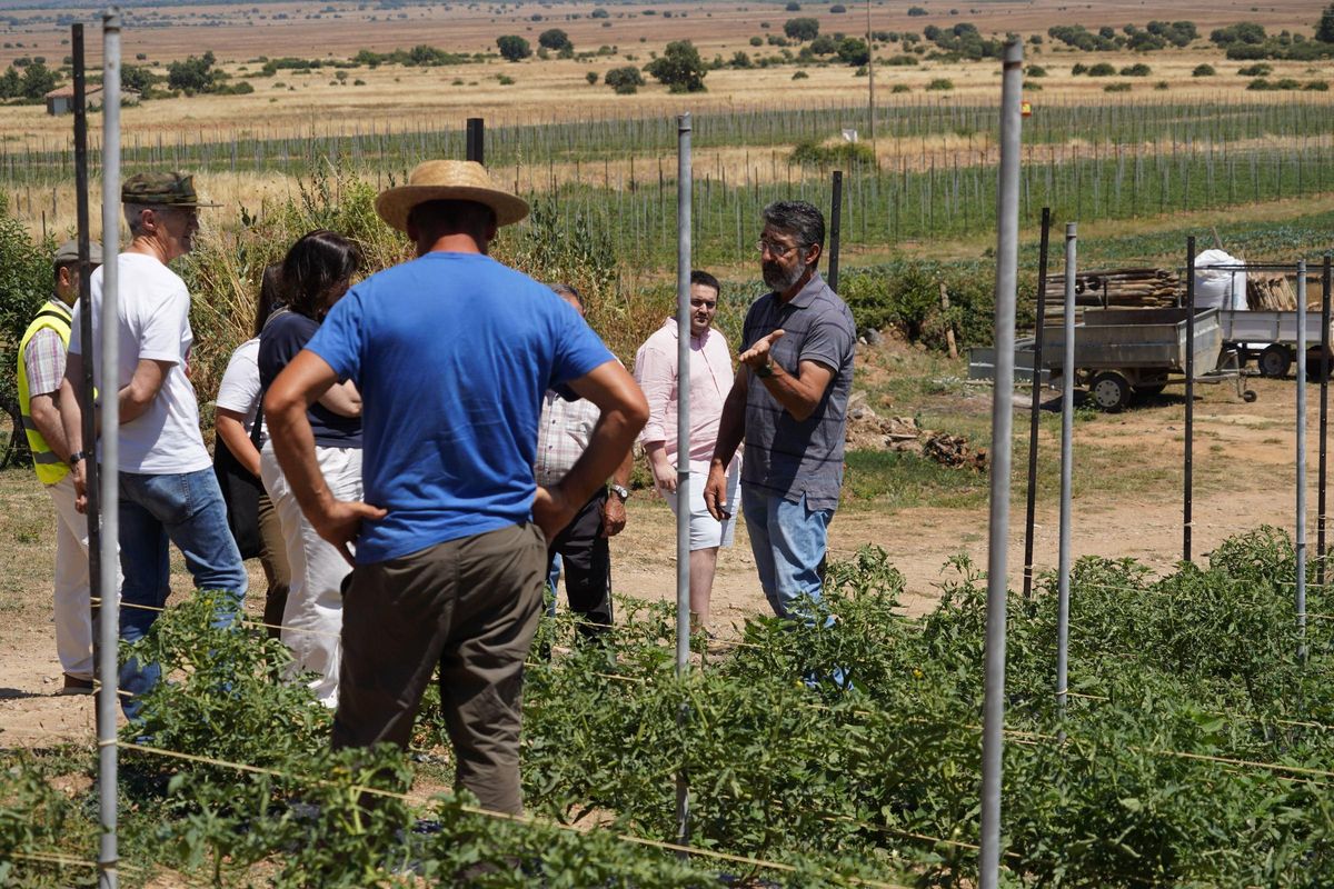 Presentación datos proyecto piloto Star Forest impulsado por el Ayuntamiento de San Vitero