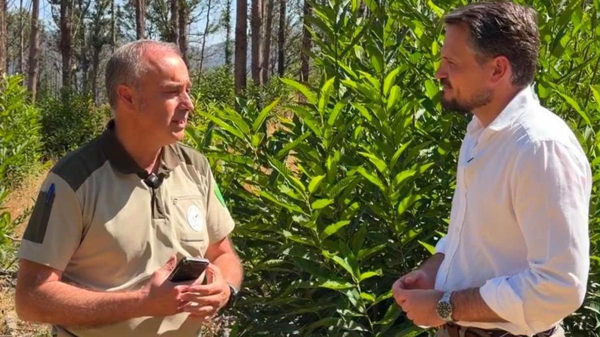 El vicepresidnete y consejero de Presidencia, Coordinación de la Acción de Gobierno, Interior y Emergencias, Abel Bautista, charla con un profesional del monte en  la sierra de Hervás, castigada en su parte alta por el incendio de Jarilla de 2025.