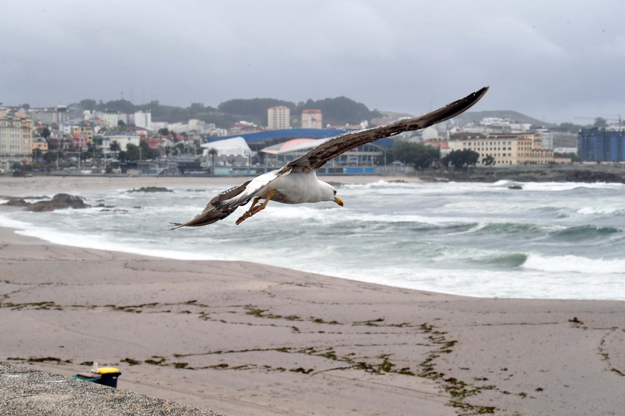 Minitemporal en A Coruña en pleno mes de junio