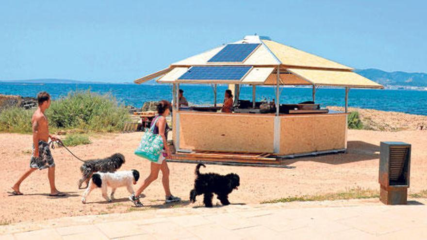 Es Carnatge es un espacio de libre circulación de perros y se pueden bañar en sus aguas.