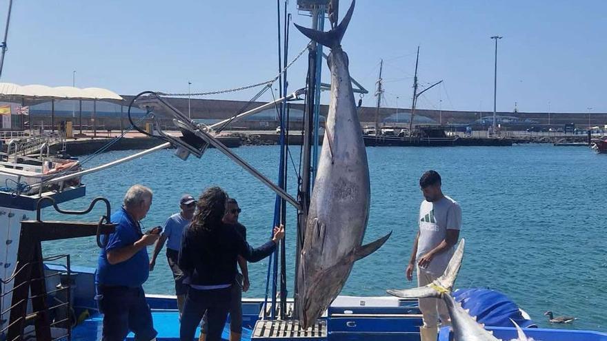 Dos hermanos de Morro Jable inauguran la zafra de atún rojo en Canarias