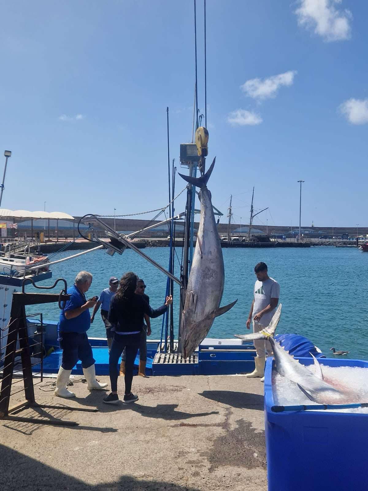 Captura de un atún rojo en Canarias, archivo.