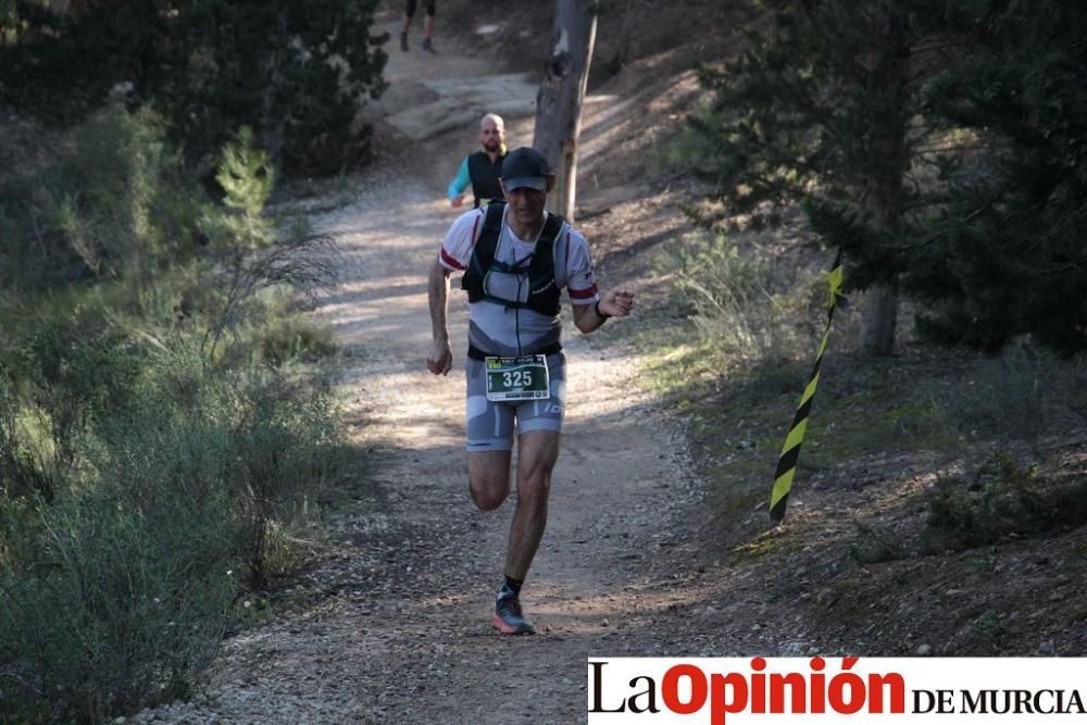 San Jorge Dragon en La Alcayna