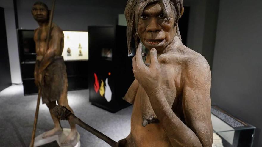 Recreación de una hembra de Homo erectus en &quot;Humanos!&quot;.