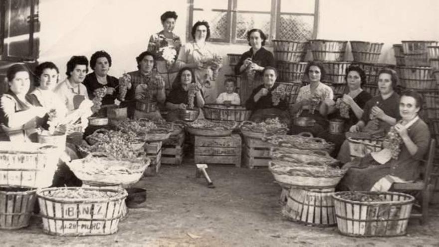 Imágenes del Archivo Histórico de mujeres de Aspe limpiando uva en los almacenes de los años 50.