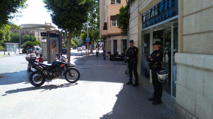 Once detenidos en una gran operación contra el tráfico de anabolizantes y marihuana en Palma y Calvià