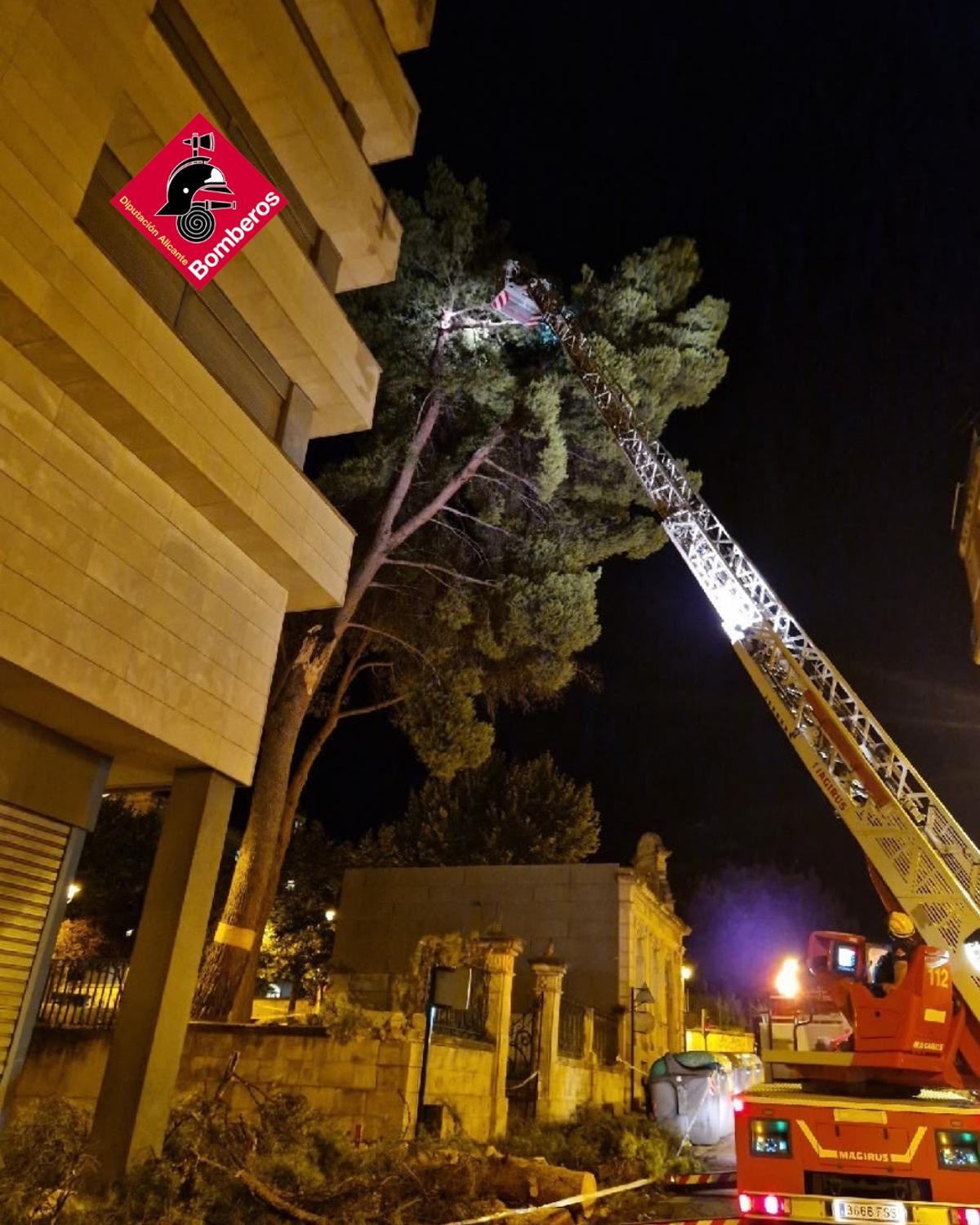 El temporal deja 62 intervenciones de los bomberos en Alicante: Alcoy, el municipio más afectado con 32 avisos El temporal deja 62 intervenciones de los bomberos en Alicante: Alcoy, el municipio más afectado con 32 avisos