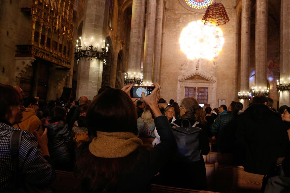 Unas 2.400 personas contemplan el Vuit de la Seu