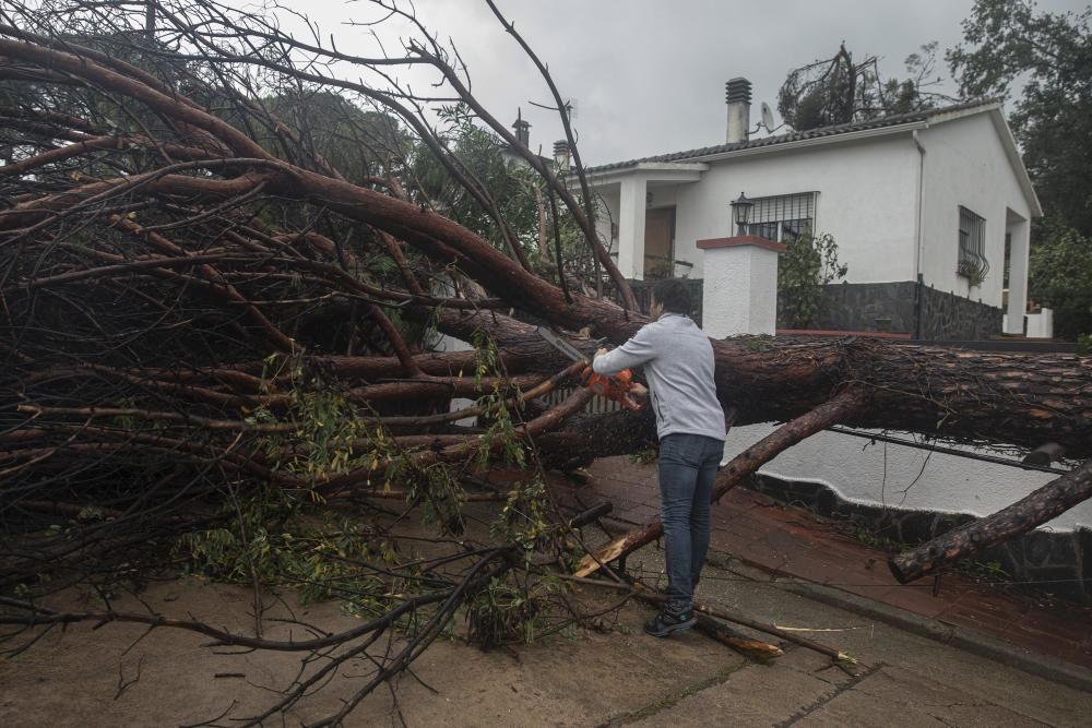 Destrosses a Riells i Viabrea per un tornado