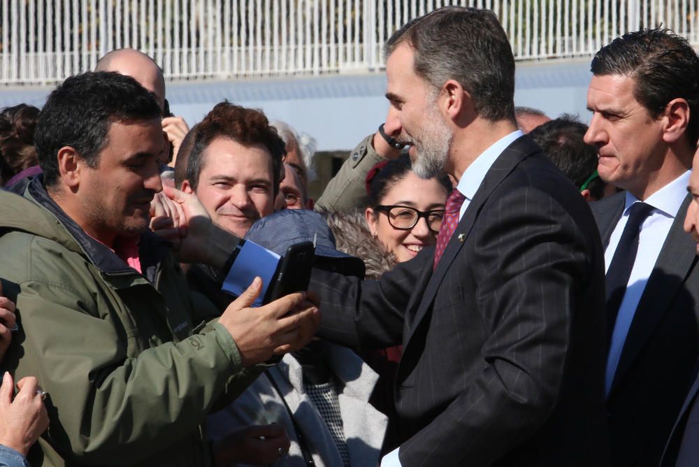 Los Reyes de España presiden la entrega de las distinciones que otorga el Ministerio de Cultura, correspondientes a 2016. José Coronado, Ricardo Darín, El Julio, Pedro Subijana o el Orfeón Donostiarra, entre los premiados.