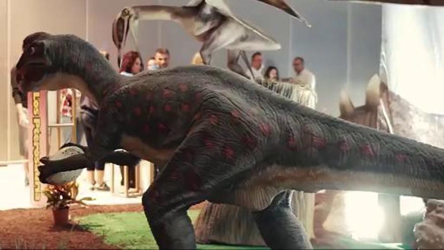 Muestra de la exposición de dinosaurios a tamaño real - La Opinión de Murcia Muestra de la exposición de dinosaurios a tamaño real - La Opinión de Murcia