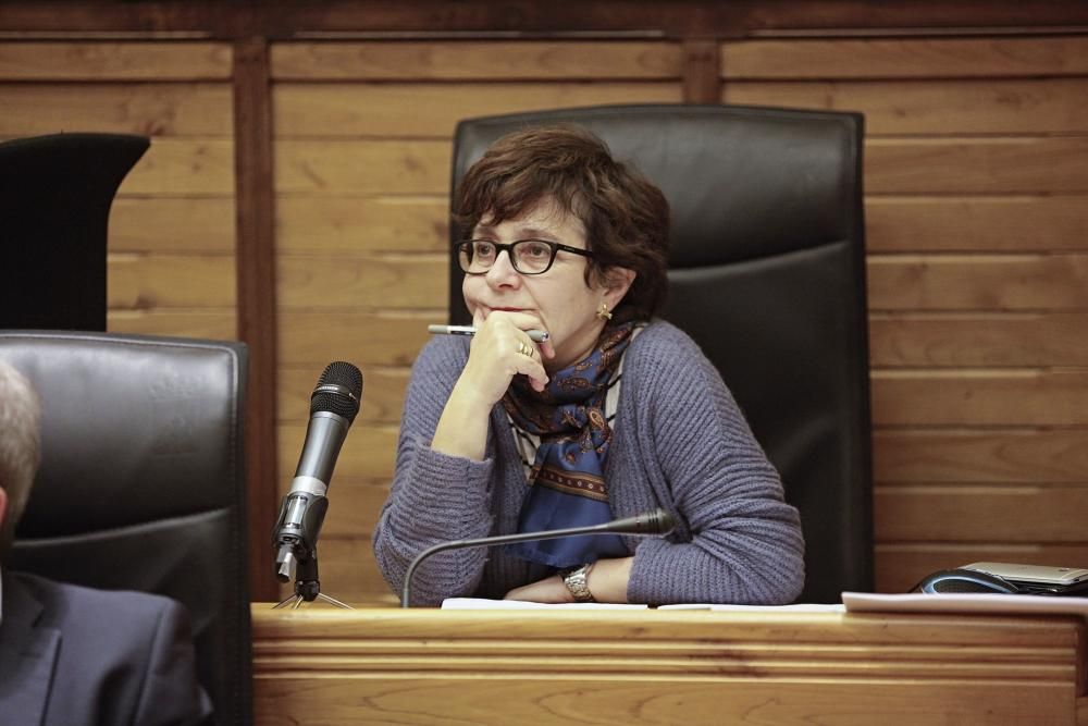 Pleno del Ayuntamiento de Gijón