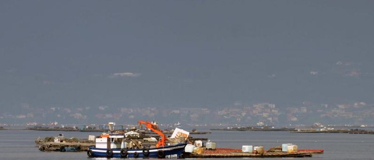 El cultivo de mejillón en la Ría de Arousa.