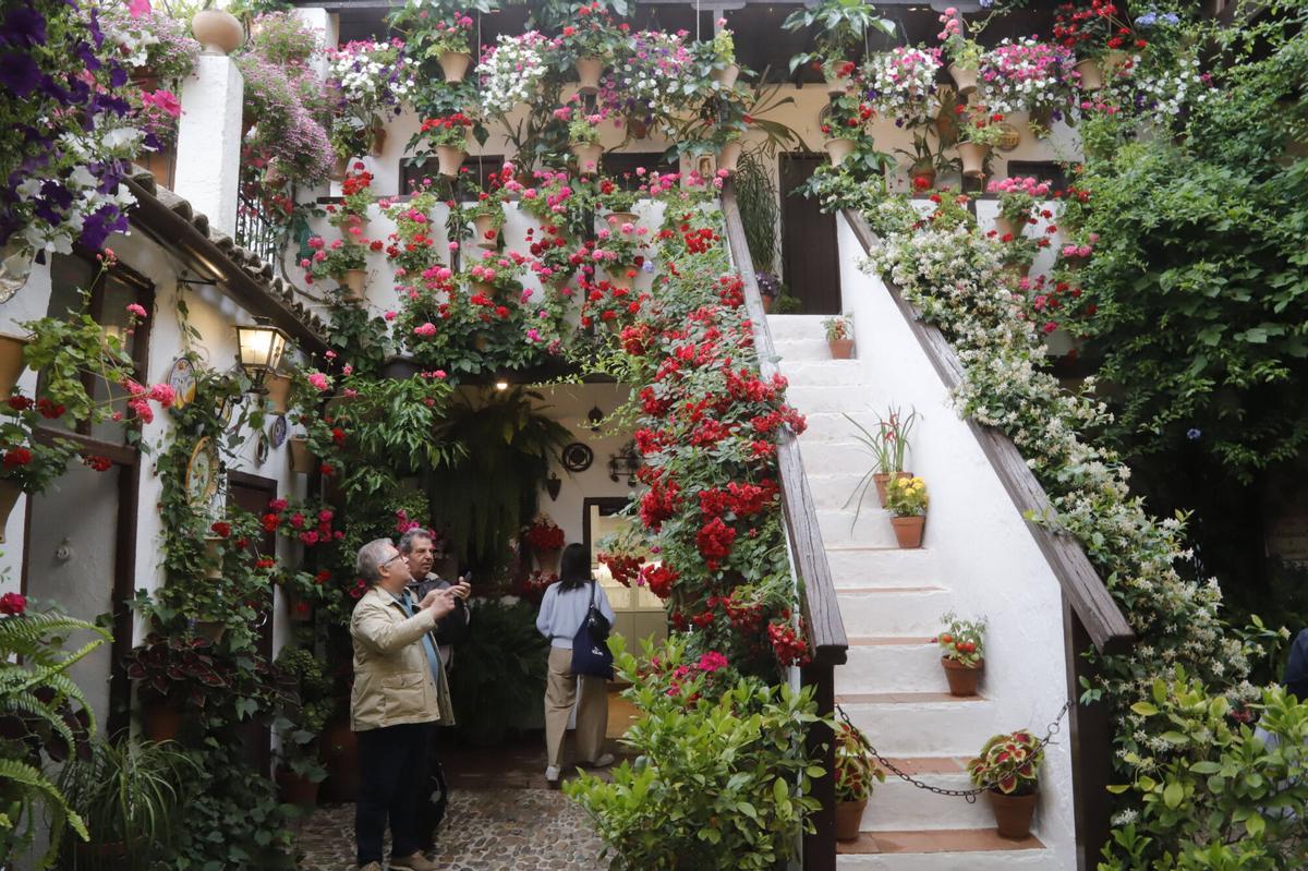 Principales premios del Concurso Municipal de Patios Cordobeses 2026