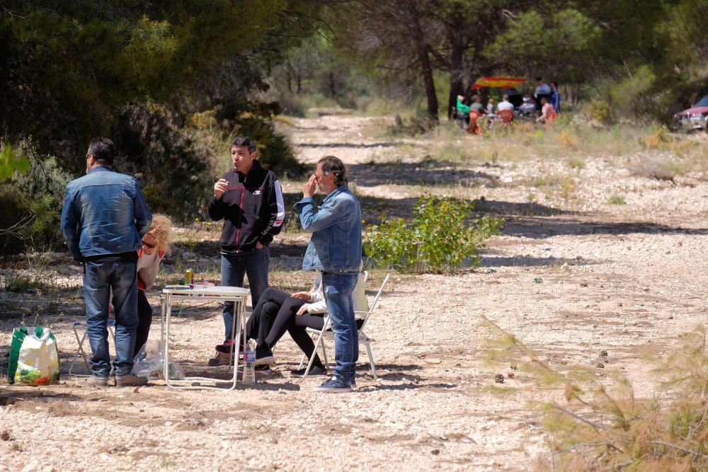 Sax celebra San Pancracio con un día de campo