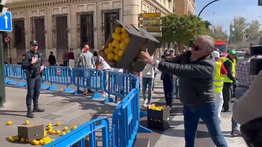La protesta del campo en Murcia, en directo | Los tractores cortan el tráfico en puntos de la ciudad y agricultores lanzan limones a la Delegación