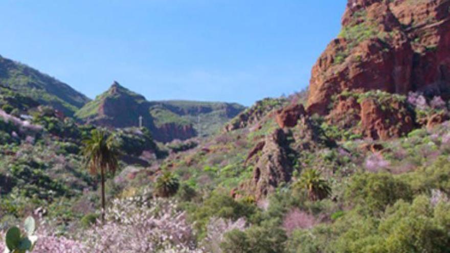 Barranco de Guayadeque.