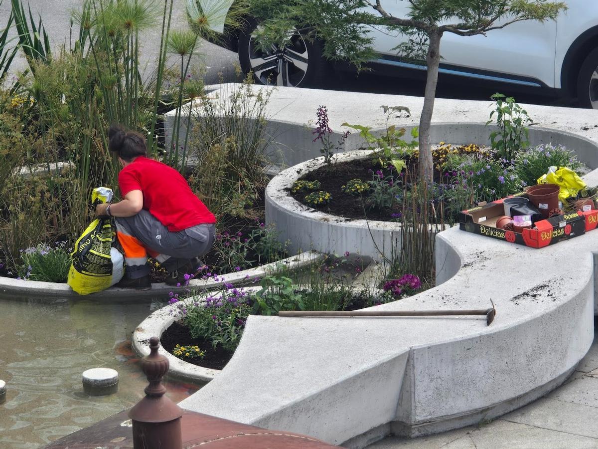 Los operarios municipales se encargan esta mañana de recuperar los deteriorados jardines de la peatonalizada calle de Arzobispo Lago, en Vilagarcía.
