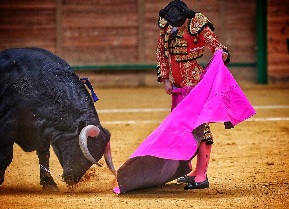 Alberto Donaire dibuja un gran verónica en la plaza de toros de Arnedo, La Rioja.
