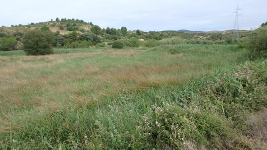 Zona del Prado, donde nacen los manantiales de la Franqueza.