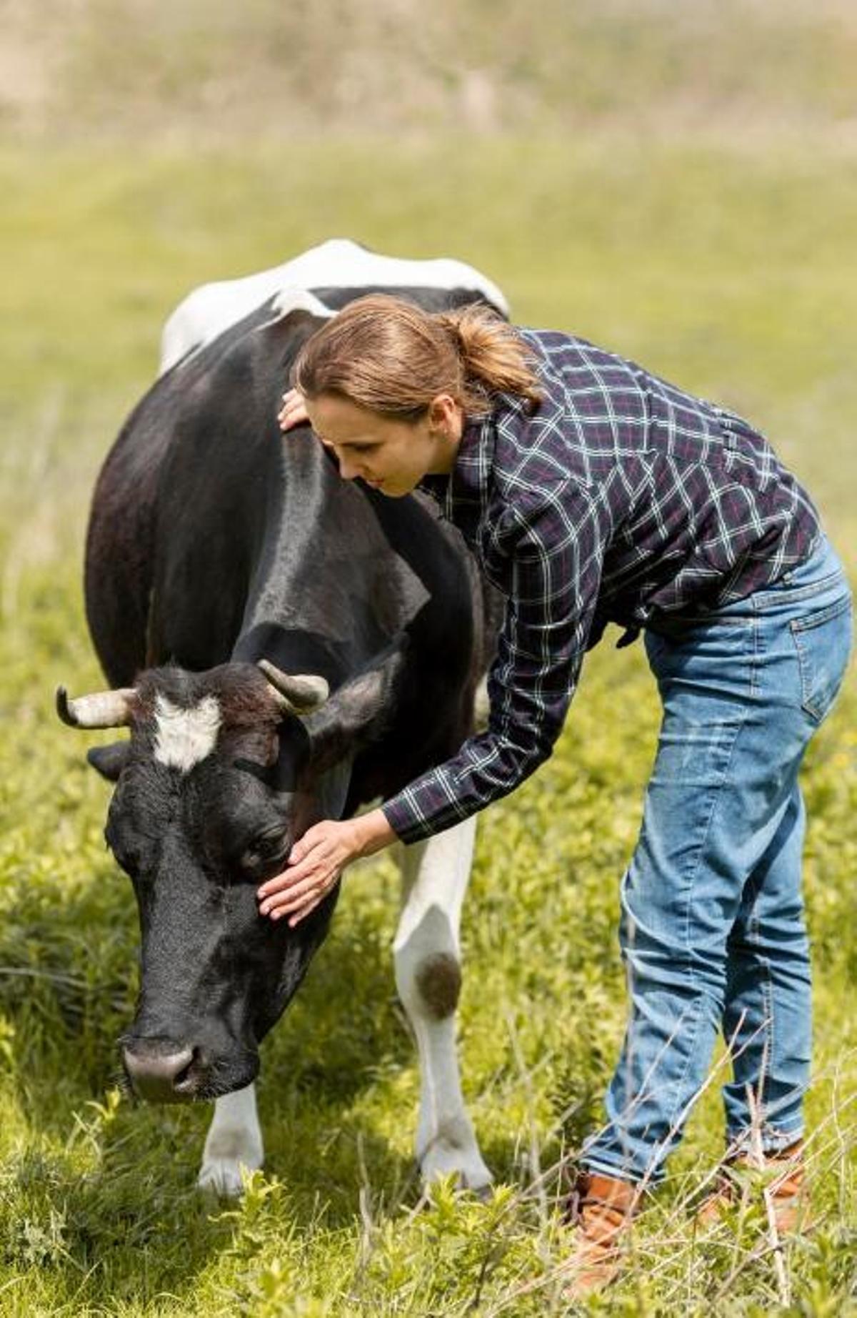 La teràpia d'abraçar una vaca
