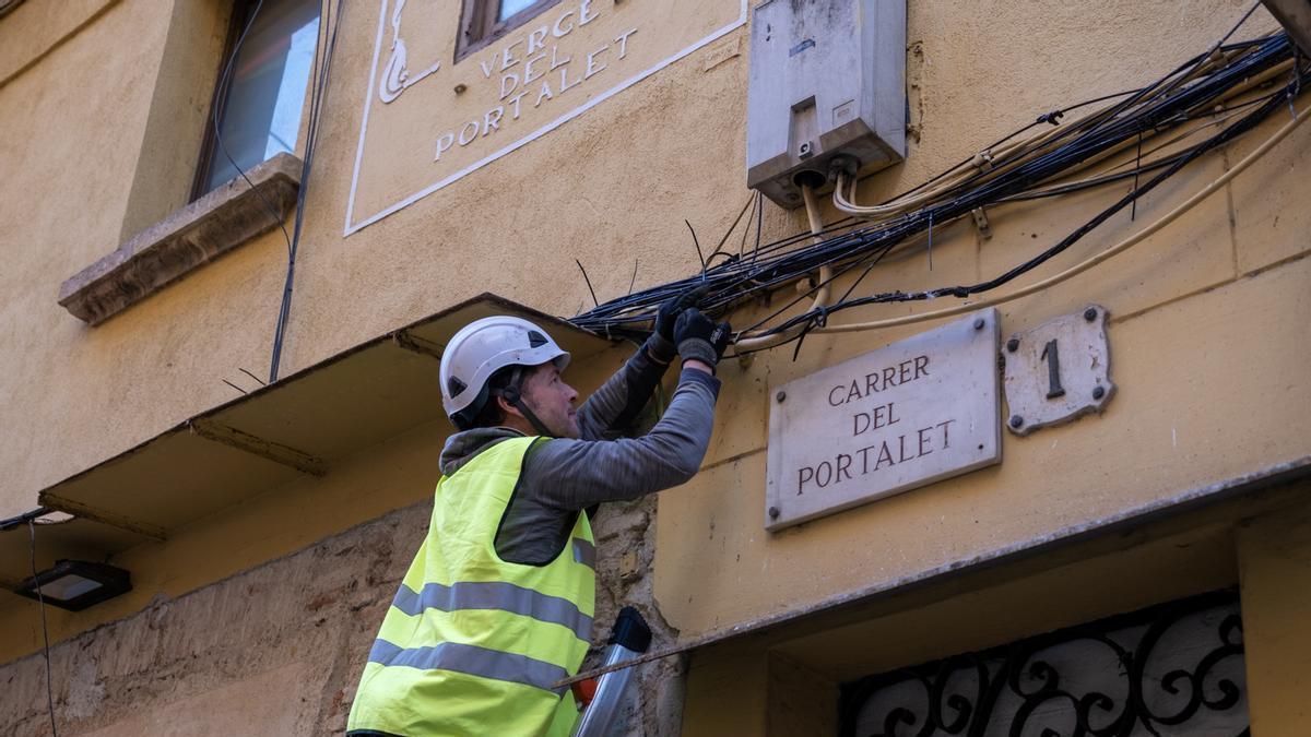 El consistorio inicia este febrero un plan de actuaciones en puntos críticos de la ciudad para acabar con la masificación de las palomas en la ciudad