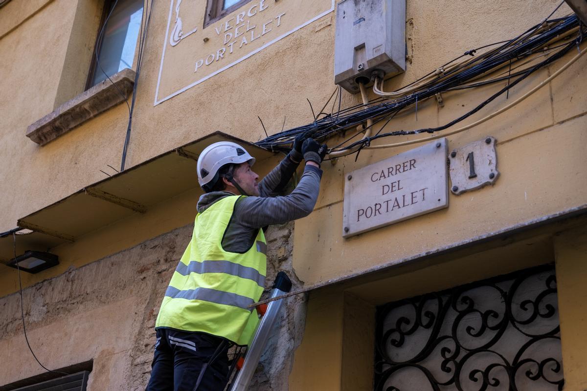 El consistorio inicia este febrero un plan de actuaciones en puntos críticos de la ciudad para acabar con la masificación de las palomas en la ciudad