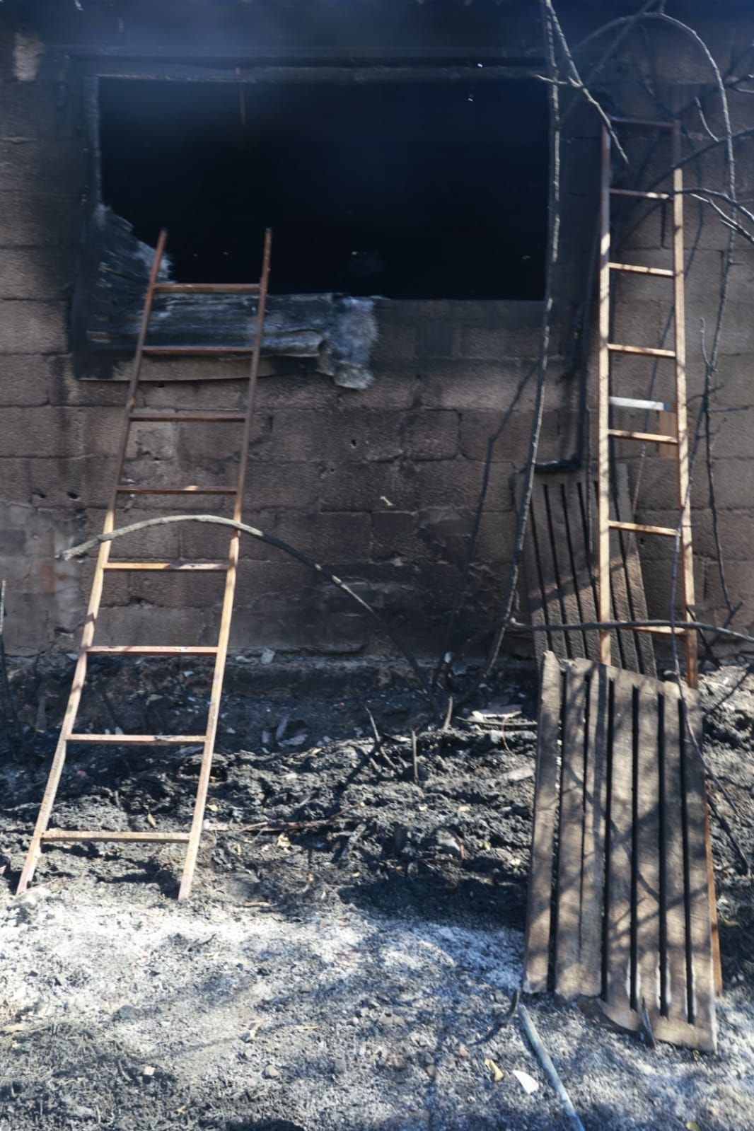 Las consecuencias del incendio de Bejís en Teresa