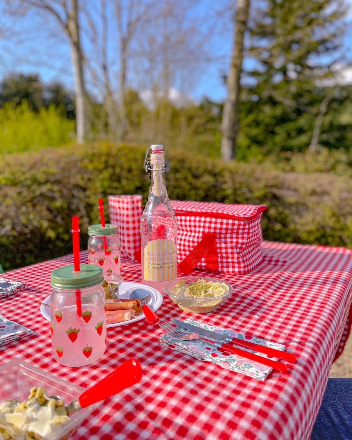 Mantel de picnic de Tiger.