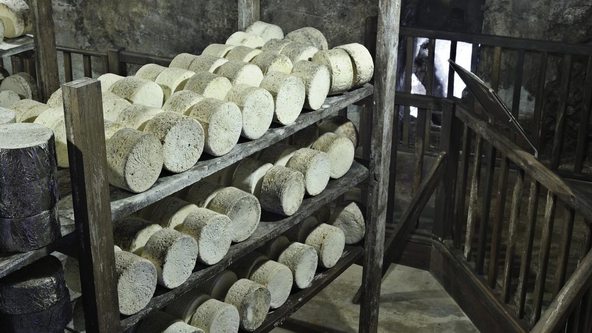 El plan definitivo para fanáticos del roquefort: degustación de quesos en el corazón de Francia