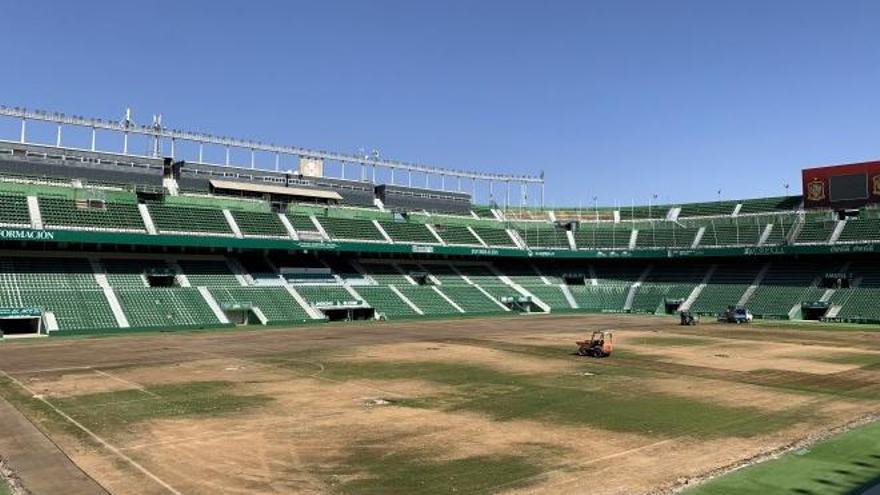 Aspecto que presentaba el césped del Martínez Valero este sábado