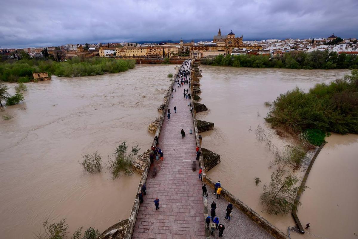 Vista del río Guadalquivir a su paso por Córdoba, en el Puente Romano, este martes por la mañana.