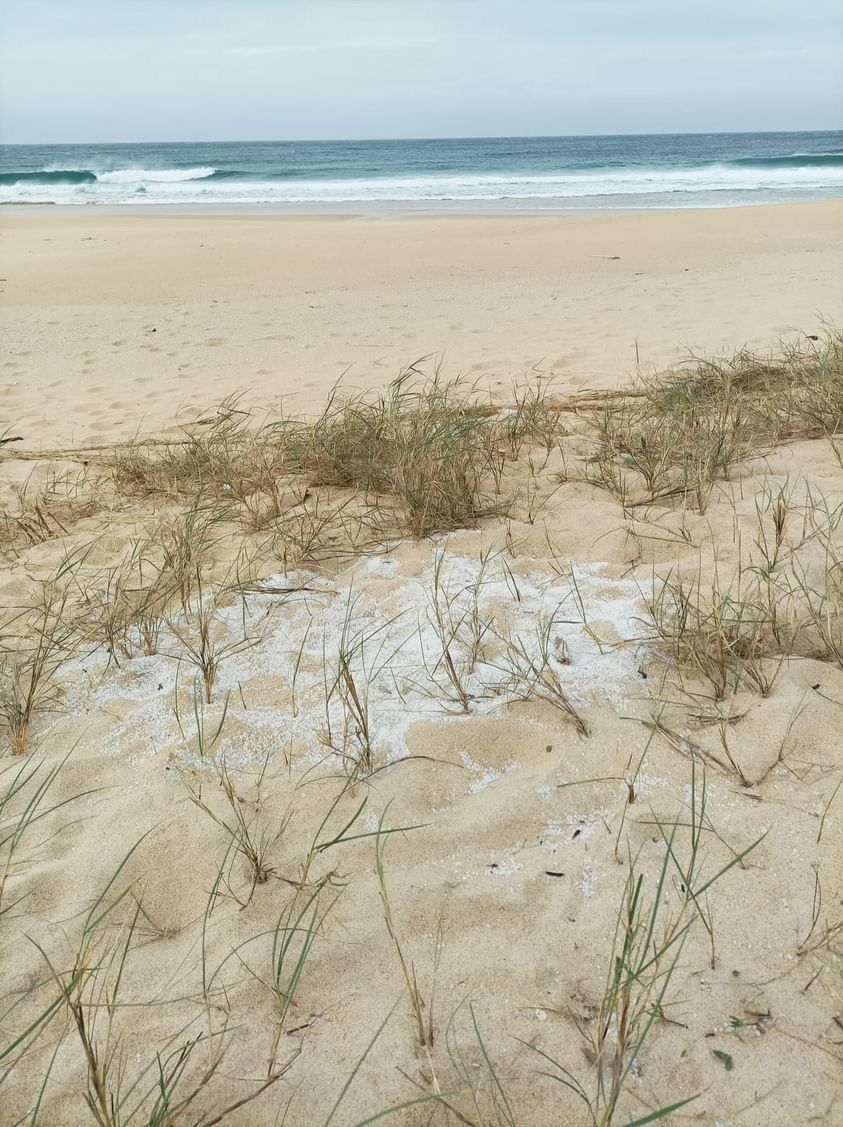 Miles de pellets de resina llegan a las playas de Barbanza, Noia y Muros