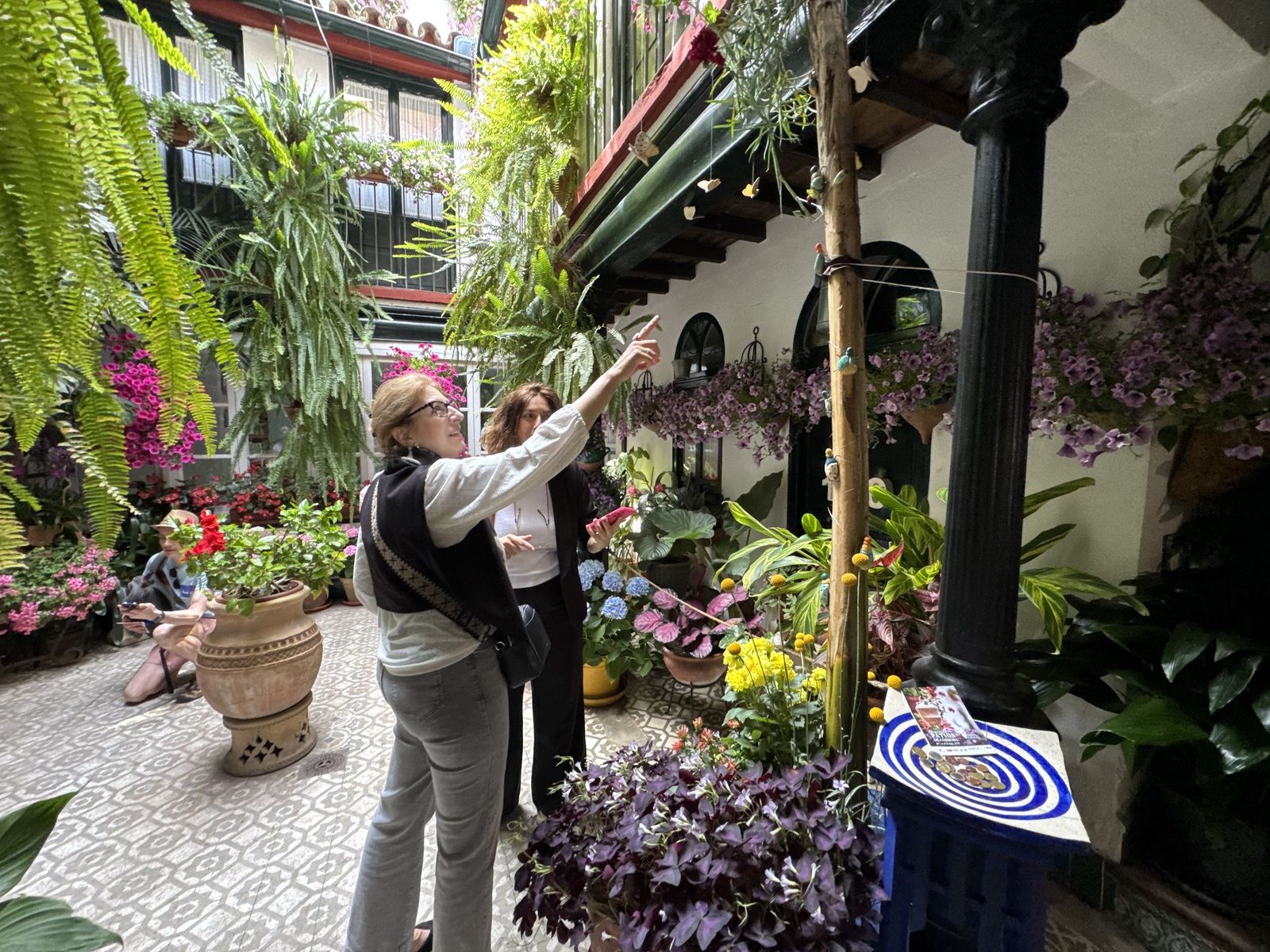 La Ruta 4 de los Patios de Córdoba, en imágenes