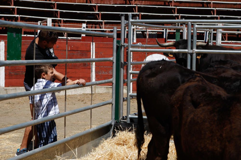 Feria agroalimentaria de Fermoselle