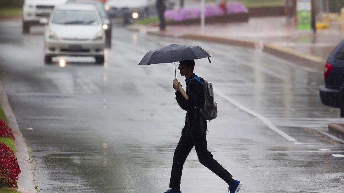 Se esperan lluvias moderadas en Pozuelo a partir del 7 de febrero