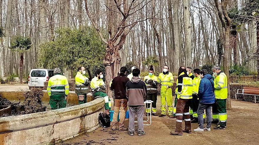 L'actuació a la font ornamental dels jardins de la Devesa.