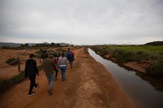 Visita invernal a los flamencos de Ibiza